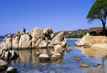 哪里能看乒乓球直播在线直播？这些精彩看点别错过！